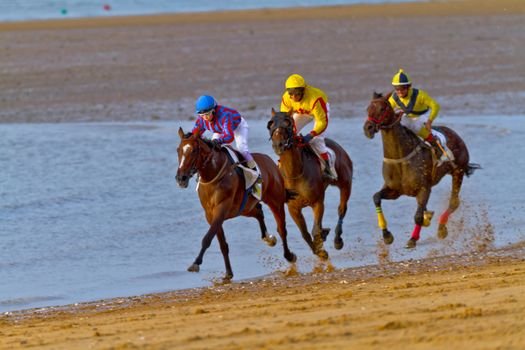 SANLUCAR DE BARRAMEDA, CADIZ, SPAIN - AUGUST 11: Unidentified riders race horses on Sanlucar de Barrameda beach on August 11, 2011 in Sanlucar de Barrameda, Cadiz, Spain.