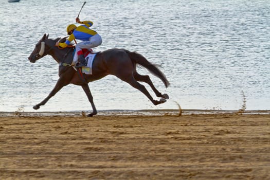 SANLUCAR DE BARRAMEDA, CADIZ, SPAIN - AUGUST 11: Unidentified rider race horses on Sanlucar de Barrameda beach on August 11, 2011 in Sanlucar de Barrameda, Cadiz, Spain.