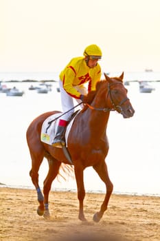SANLUCAR DE BARRAMEDA, CADIZ, SPAIN - AUGUST 11: Unidentified rider at the start of race horses on Sanlucar de Barrameda beach on August 11, 2011 in Sanlucar de Barrameda, Cadiz, Spain.