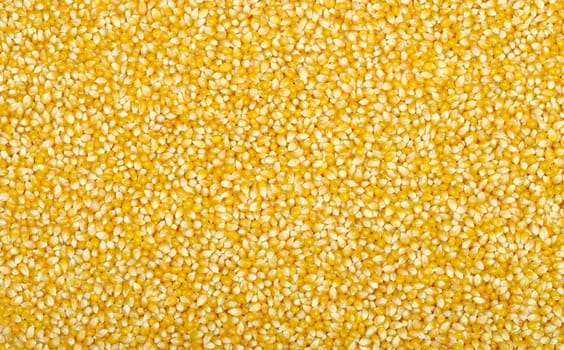 Yellow sweet corn background