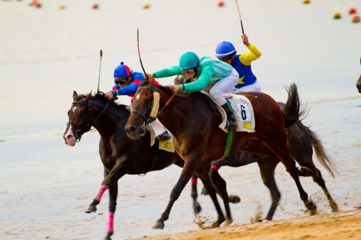 SANLUCAR DE BARRAMEDA, CADIZ, SPAIN - AUGUST 11: Unidentified riders race horses on Sanlucar de Barrameda beach on August 11, 2011 in Sanlucar de Barrameda, Cadiz, Spain.