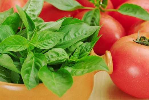 Basil in a soup bowl with tomatoes around it