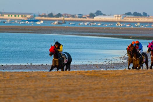 SANLUCAR DE BARRAMEDA, CADIZ, SPAIN - AUGUST 07: Unidentified riders race horses on Sanlucar de Barrameda beach on August 28, 2008 in Sanlucar de Barrameda, Cadiz, Spain.