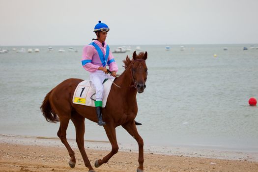 SANLUCAR DE BARRAMEDA, CADIZ, SPAIN - AUGUST 07: Unidentified rider at the start of race horses on Sanlucar de Barrameda beach on  August 07, 2010 in Sanlucar de Barrameda, Cadiz, Spain.