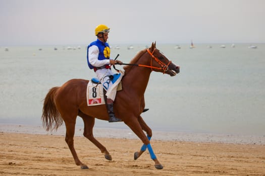 SANLUCAR DE BARRAMEDA, CADIZ, SPAIN - AUGUST 07: Unidentified rider at the start of race horses on Sanlucar de Barrameda beach on  August 07, 2010 in Sanlucar de Barrameda, Cadiz, Spain.