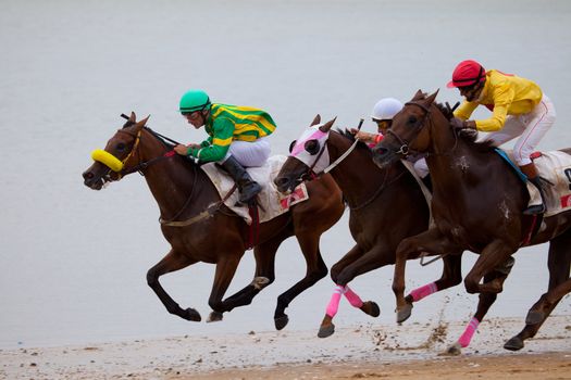 SANLUCAR DE BARRAMEDA, CADIZ, SPAIN - AUGUST 07: Unidentified riders race horses on Sanlucar de Barrameda beach on August 07, 2010 in Sanlucar de Barrameda, Cadiz, Spain.
