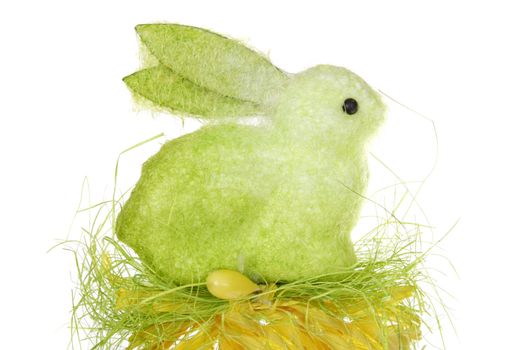 Easter hare, photo on the white background