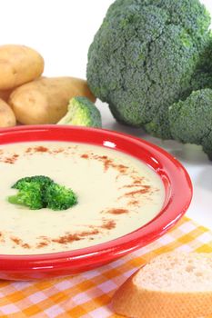a plate of broccoli cream soup with fresh vegetables