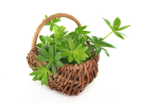 some stems Woodruff in a small wicker basket
