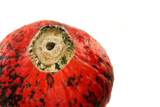 an orange pumpkin on a white background