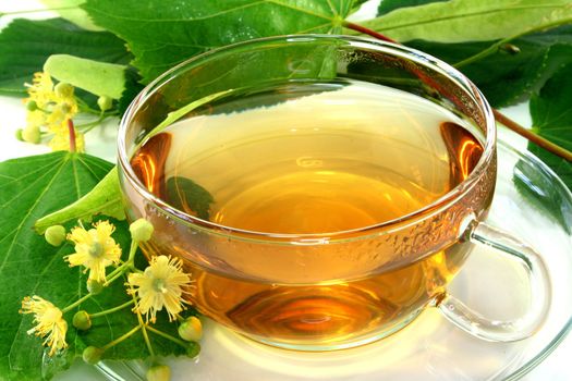 a cup of lime blossom tea with fresh flowers