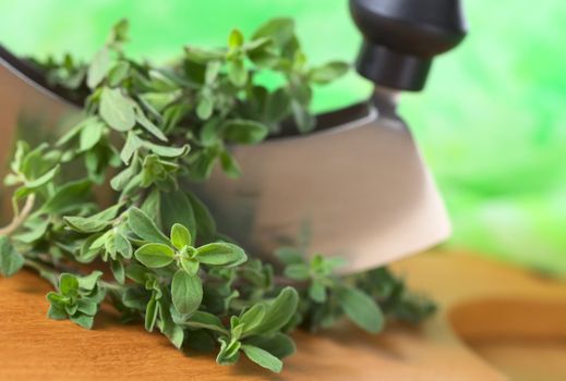 Fresh marjoram twigs with mezzaluna on cutting board with green background (Selective Focus, Focus on some of the leaves in the front)