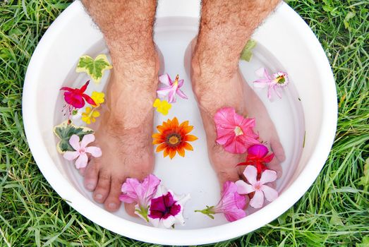 male hairy feet in bowl with water and flowers