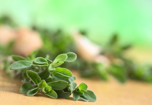 Fresh marjoram on wooden board (Selective Focus, Focus on some of the leaves in the front)