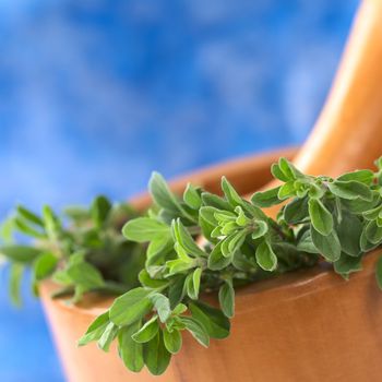 Fresh marjoram in wooden mortar with wooden pestle in the back (Selective Focus, Focus on some leaves in the front)
