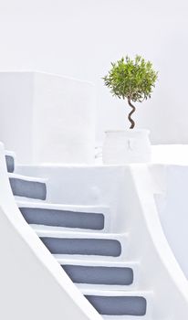 nice stairs with olive tree in Santorini Greece