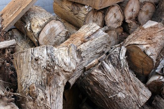 Details of a pile of chopped logs.