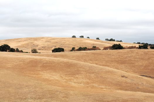 extremely dry conditions in the California foothills