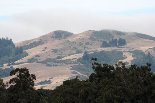 morning haze mixed with a little fog create subdued colors in a view of some California foothills