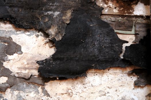 dry rot damage under a bathroom wall