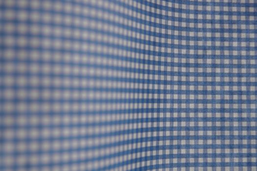 blue gingham with a graceful curve