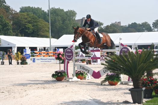 THE HAGUE, HOLLAND - AUGUST 31, 2008: Concours Hippique. Horse clearing a hurdle at the annual horse jumping competition at Westbroek Park.