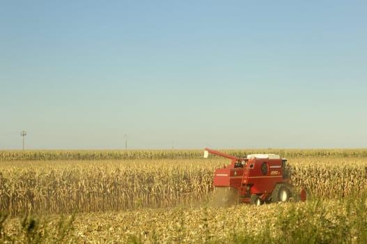 harvester working in northern italy corn field cremona province
