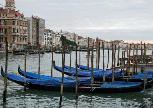 A group of gondolas in the Grand Canal in Venice, Italy.
