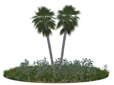 Fragment of island with two palm trees, a grass and stones. It is Completely isolated on a white background.