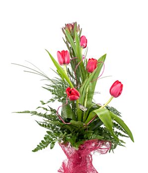 Bouquet of beautiful red tulips isolated on white background.