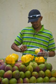 CARTAGENA DE INDIAS , COLOMBIA - DEC 21:Unidentified colombian man sell fruits in the street of Cartagena de Indias on December 21 2010