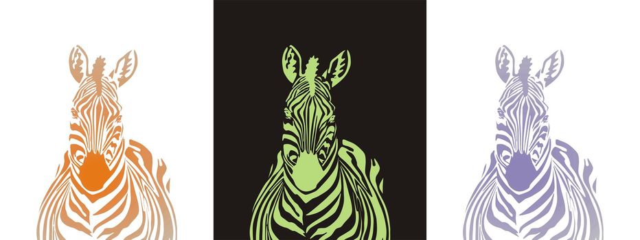 Zebra - vector illustration front view, black and zero