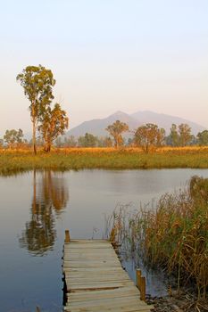 Hong Kong wetland with lake and wooden pier