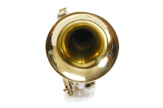 Old trumpet photo on the white background