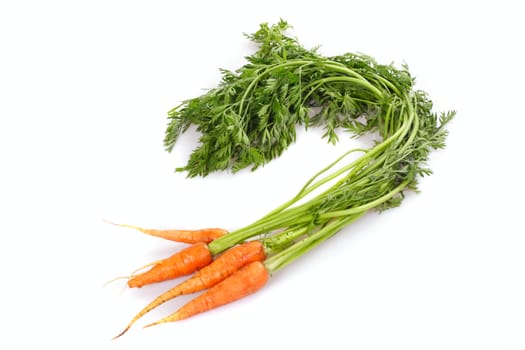 fresh Carrot, photo on the white background