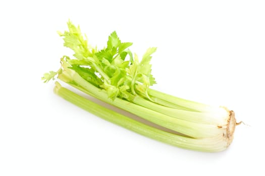 celery vegetable, photo on the white background