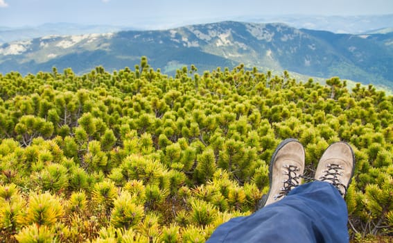 Tourist resting in the bushes low pines on the mountain top