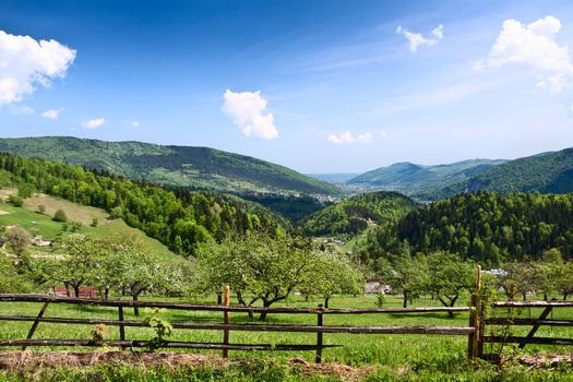 Beautiful mountain scenery. Carpathian Mountains.