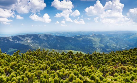 Beautiful mountain scenery. Carpathian Mountains.