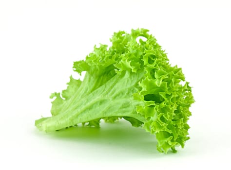 Lettuce leaf isolated on white background