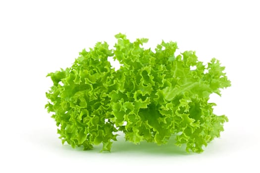 Lettuce leaf isolated on white background