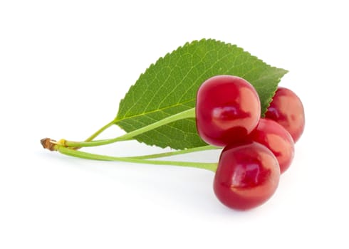 Red cherries isolated on white background