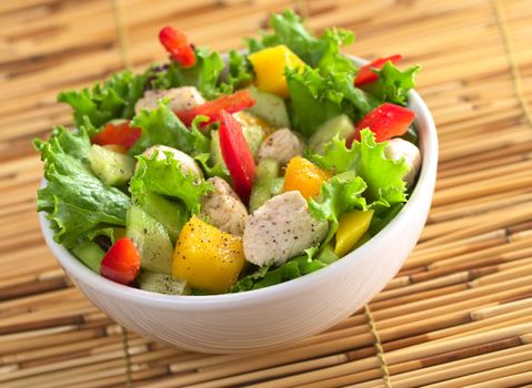 Fresh chicken salad seasoned with pepper with lettuce, mango, red bell pepper and cucumber (Selective Focus, Focus on the salad in the front)