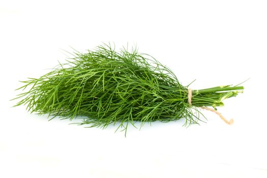 Dill leaf isolated on white background