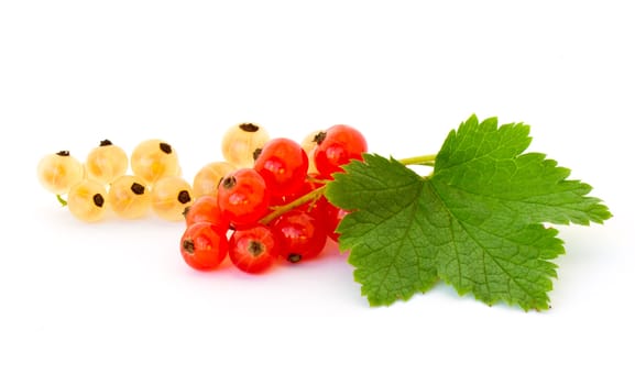 Yellow and red currant isolated on white background