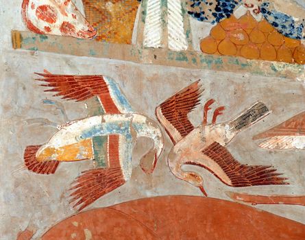 fragment of Egyptian art, illustration of birds, on wall in Hatshepsut Temple