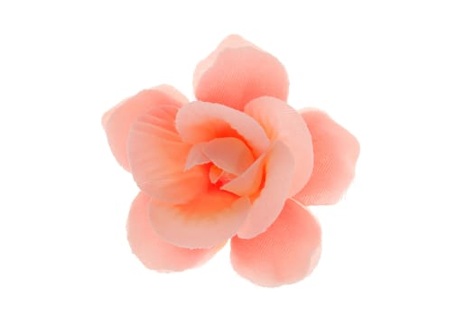 pink flower photo on the white background