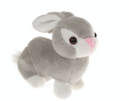 rabbit toy, photo on the white background