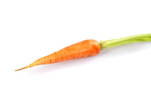 one carrot, photo on the white background