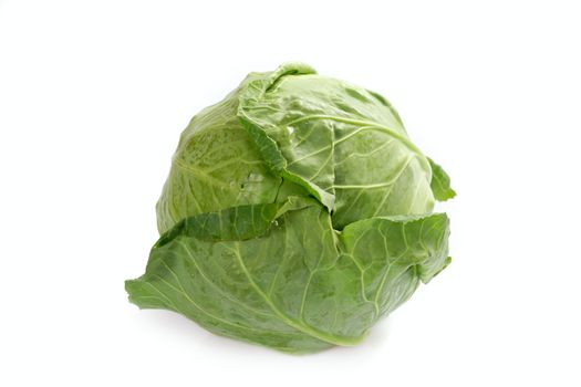 Green cabbage isolated on the white background